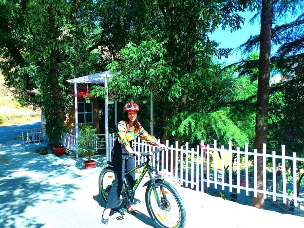 Aaroham Resort Shimla ! Luxury Cottage By Aamod Group Ngoại thất bức ảnh