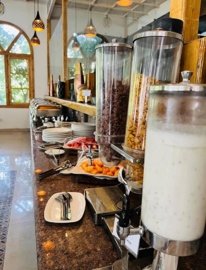 Aaroham Resort Shimla ! Luxury Cottage By Aamod Group Ngoại thất bức ảnh