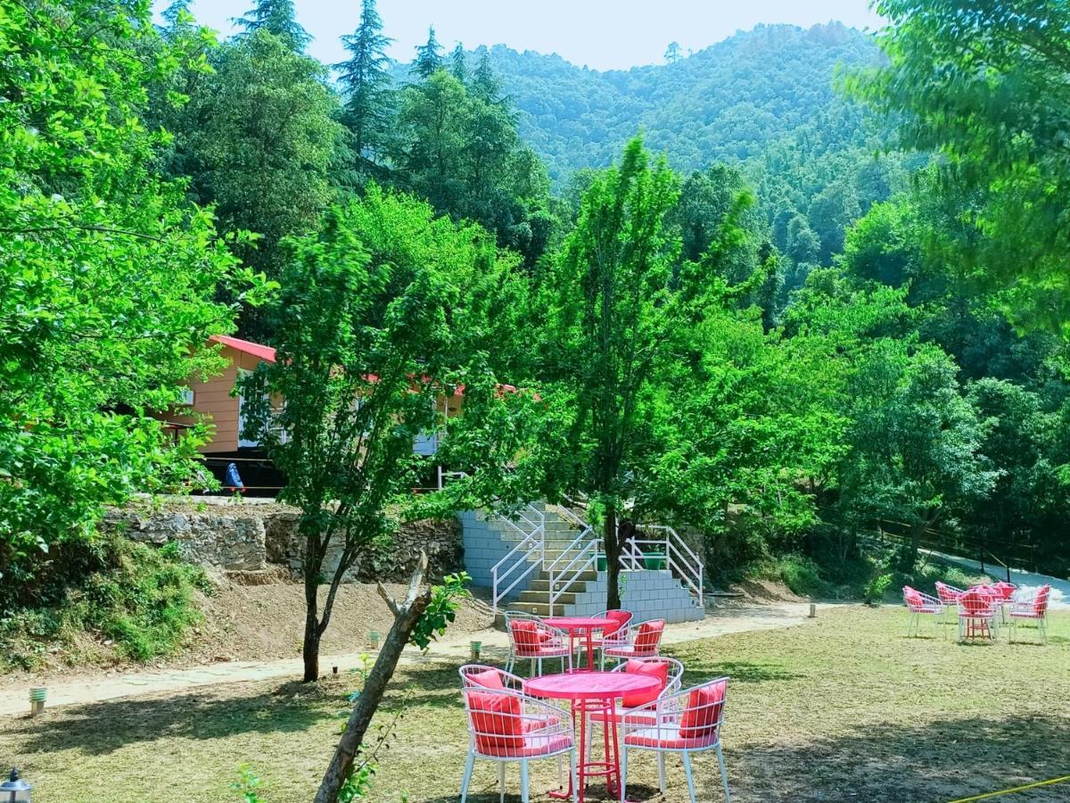 Aaroham Resort Shimla ! Luxury Cottage By Aamod Group Ngoại thất bức ảnh
