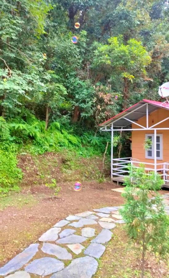 Aaroham Resort Shimla ! Luxury Cottage By Aamod Group Ngoại thất bức ảnh