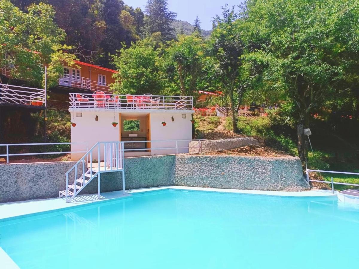 Aaroham Resort Shimla ! Luxury Cottage By Aamod Group Ngoại thất bức ảnh