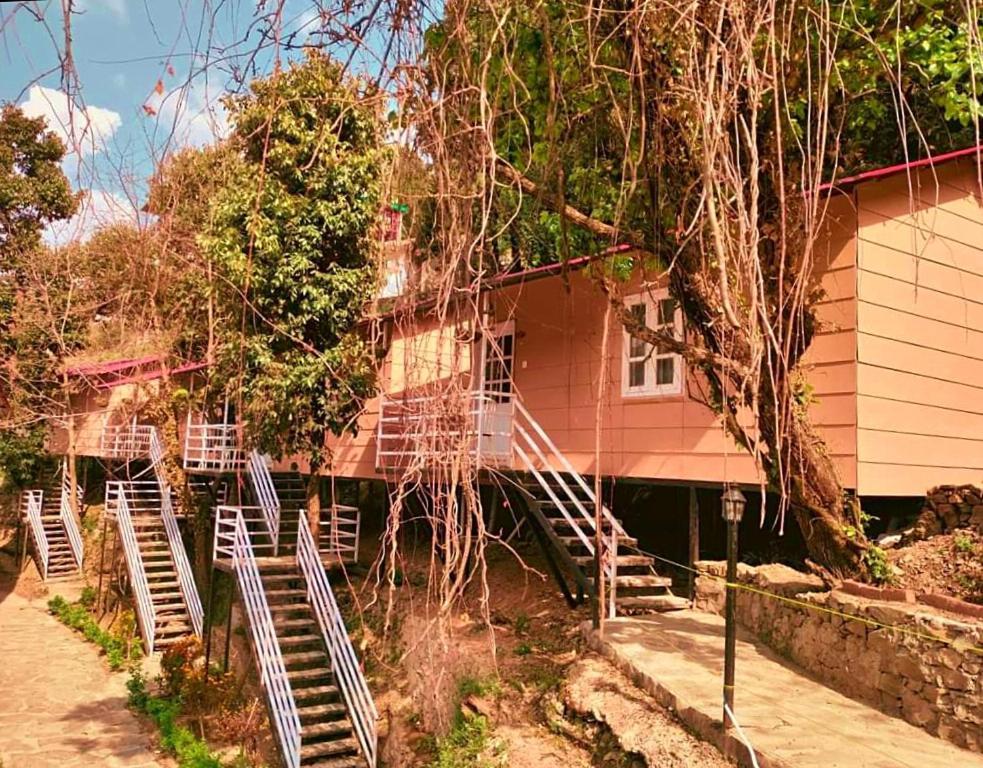 Aaroham Resort Shimla ! Luxury Cottage By Aamod Group Ngoại thất bức ảnh
