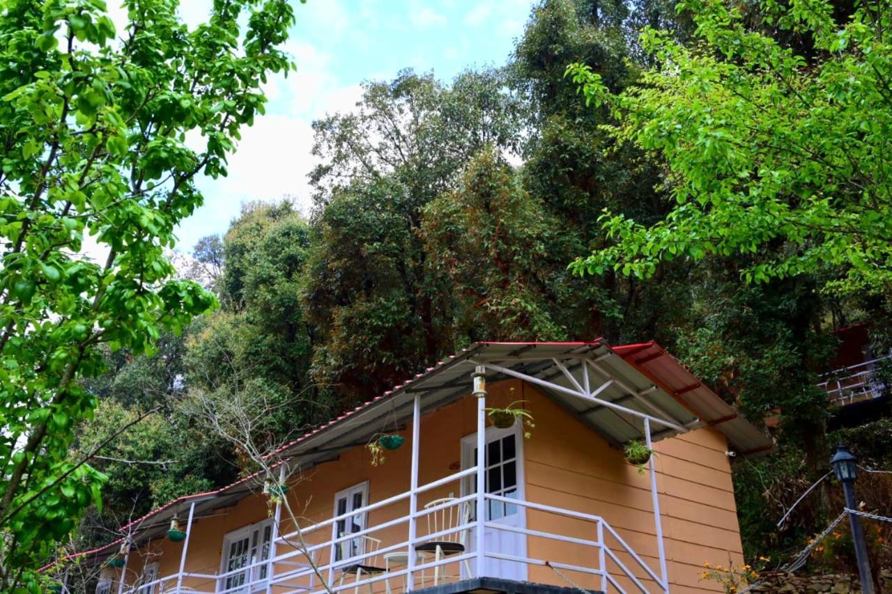 Aaroham Resort Shimla ! Luxury Cottage By Aamod Group Ngoại thất bức ảnh