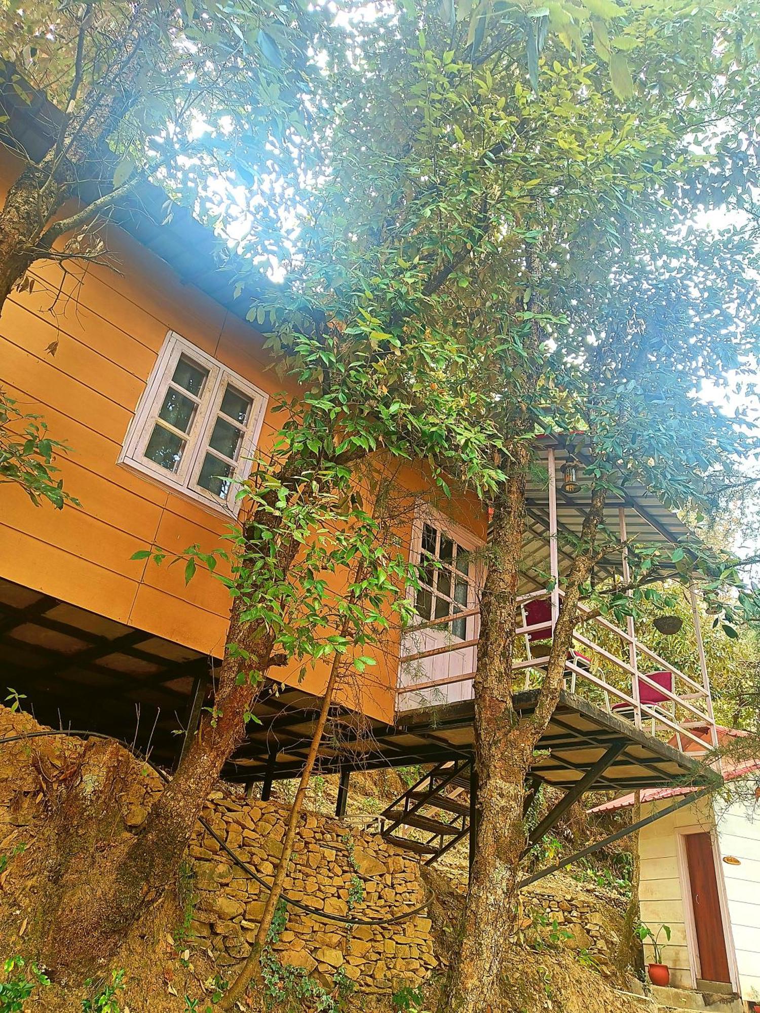 Aaroham Resort Shimla ! Luxury Cottage By Aamod Group Ngoại thất bức ảnh